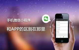 成都小程序APP開發(fā)公司應該具備哪些特點？