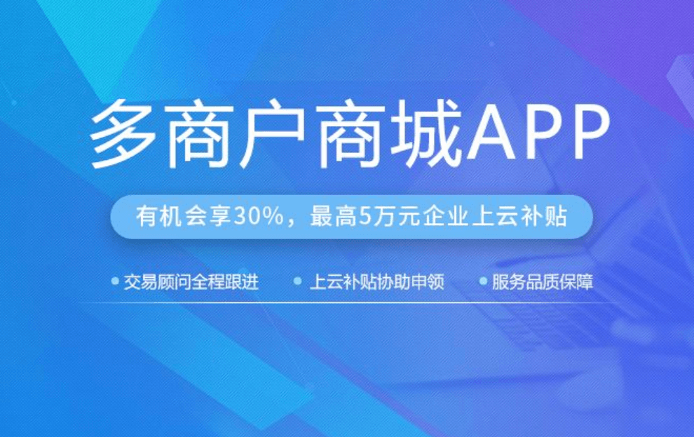 APP開發(fā)公司提供B2C商城開發(fā)功能方案